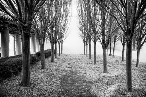 Autosave-File vom d-lab2/3 der AgfaPhoto GmbH