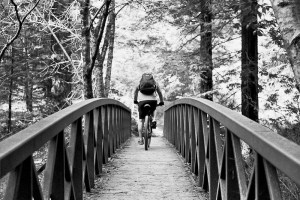 Autosave-File vom d-lab2/3 der AgfaPhoto GmbH