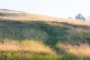 IMG_0742