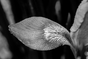 Open to the Possibilities