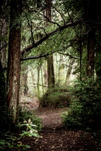 IMG_0687