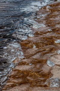 IMG_4363